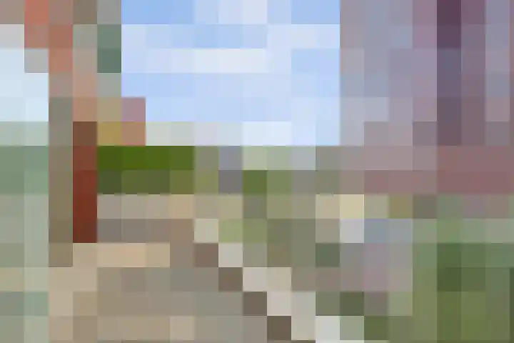Gouden Leeuwplein 71 Venray thumbnail 20