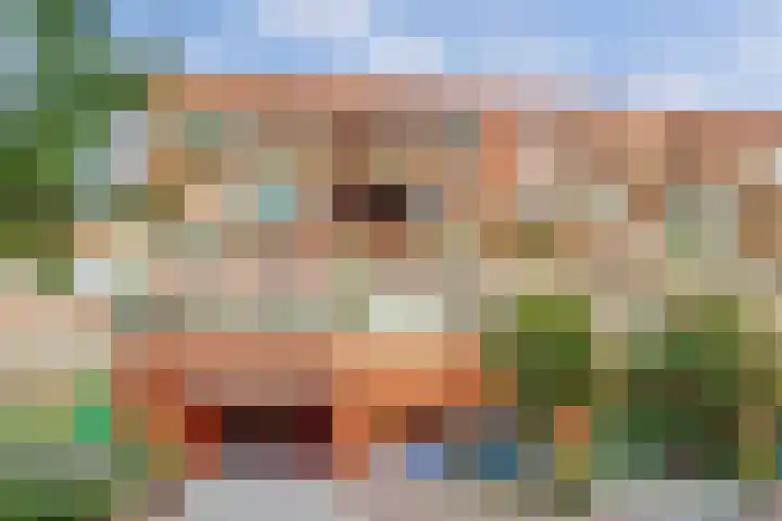 Gouden Leeuwplein 71 Venray thumbnail 28