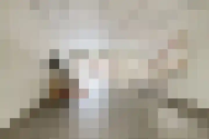 Gouden Leeuwplein 71 Venray thumbnail 4
