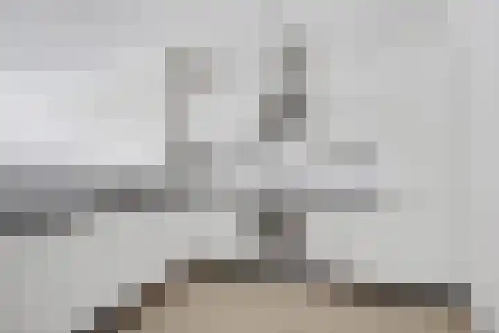 Gouden Leeuwplein 71 Venray thumbnail 9