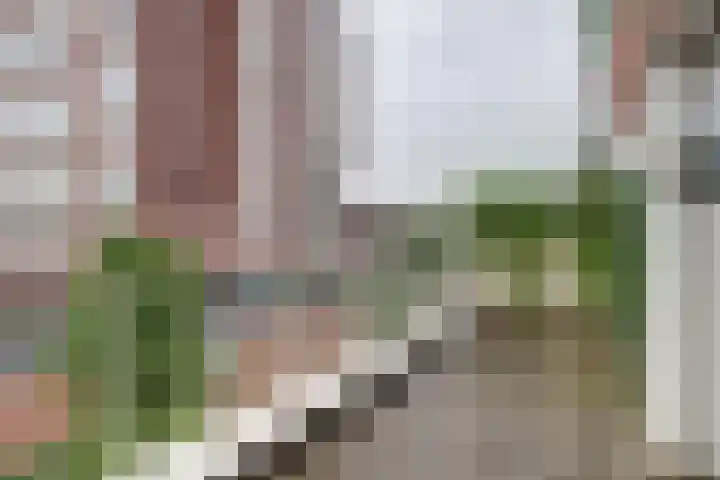 Gouden Leeuwplein 73 Venray thumbnail 10