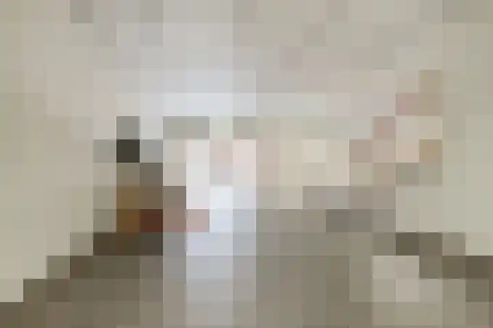Gouden Leeuwplein 73 Venray thumbnail 4