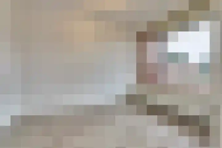 Gouden Leeuwplein 76 Venray thumbnail 8
