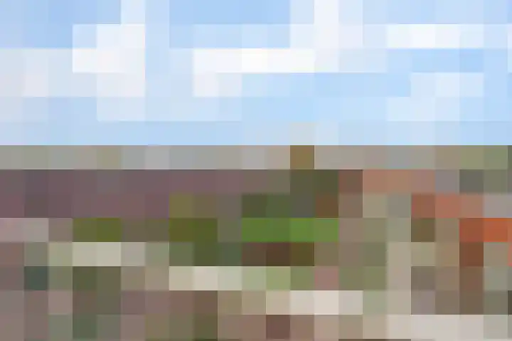 Gouden Leeuwplein 86 Venray thumbnail 13