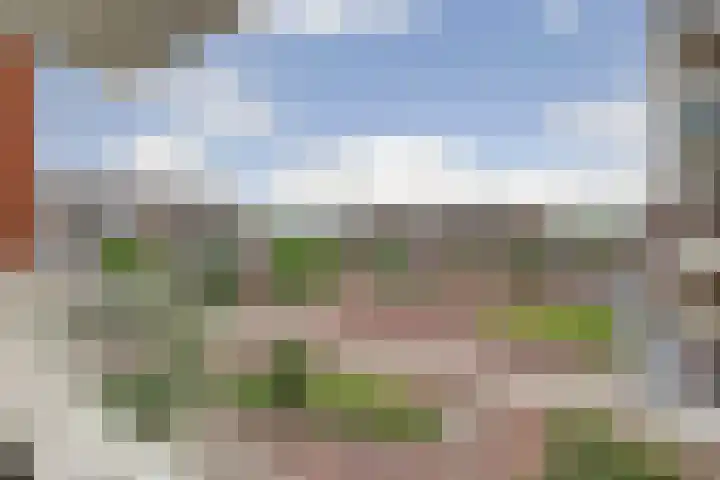 Gouden Leeuwplein 93 Venray thumbnail 4