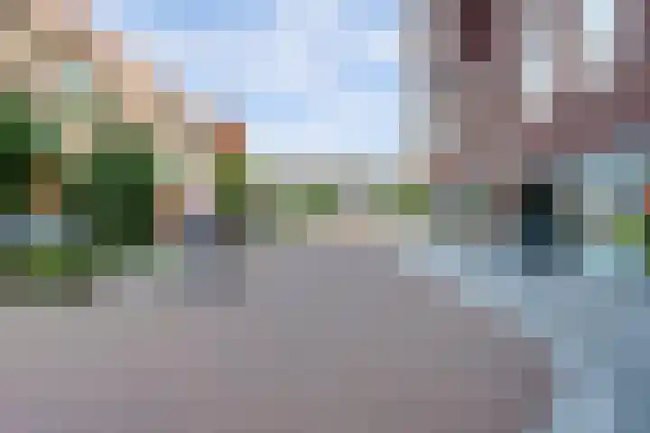 Gouden Leeuwplein 95 Venray thumbnail 18