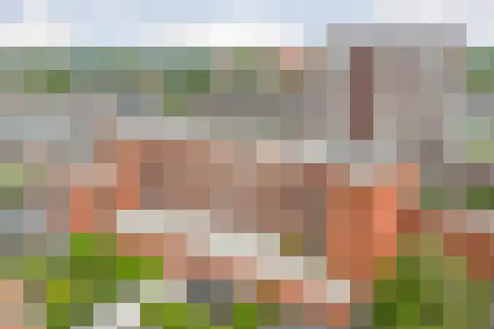 Gouden Leeuwplein 95 Venray thumbnail 19
