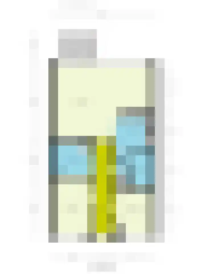 Gouden Leeuwplein 95 Venray thumbnail 23