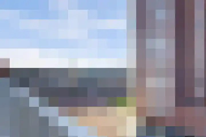 Gouden Leeuwplein 95 Venray thumbnail 4