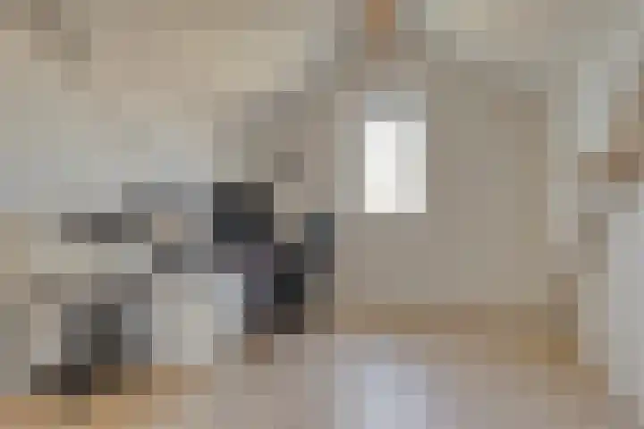 Gouden Medaillepad 13 Almere thumbnail 25