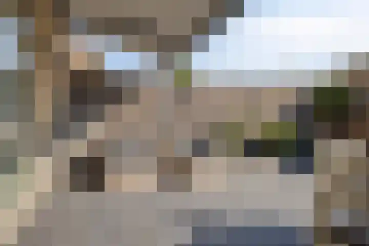 Gouden Medaillepad 13 Almere thumbnail 26