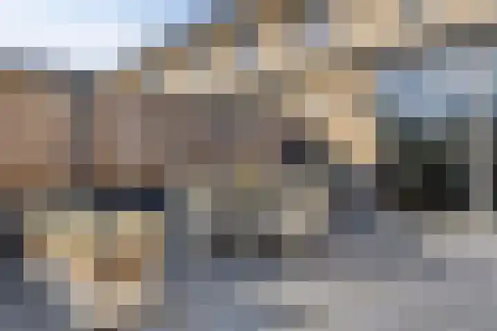 Gouden Medaillepad 13 Almere thumbnail 29