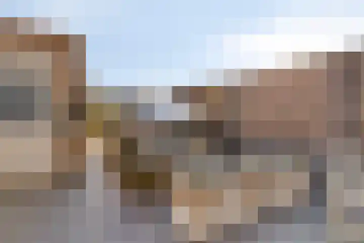 Gouden Medaillepad 13 Almere thumbnail 30