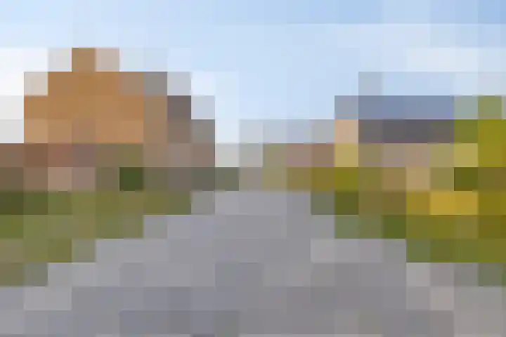 Gouden Medaillepad 13 Almere thumbnail 36