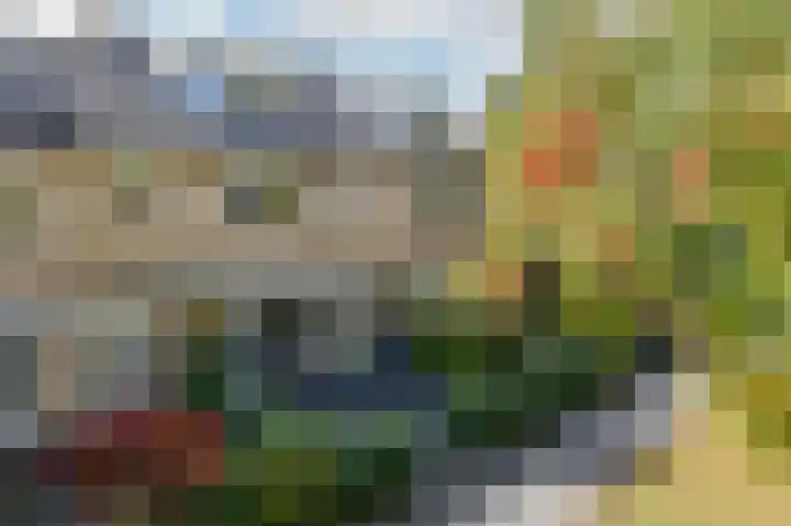 Gouden Reaal 15 in Mijdrecht