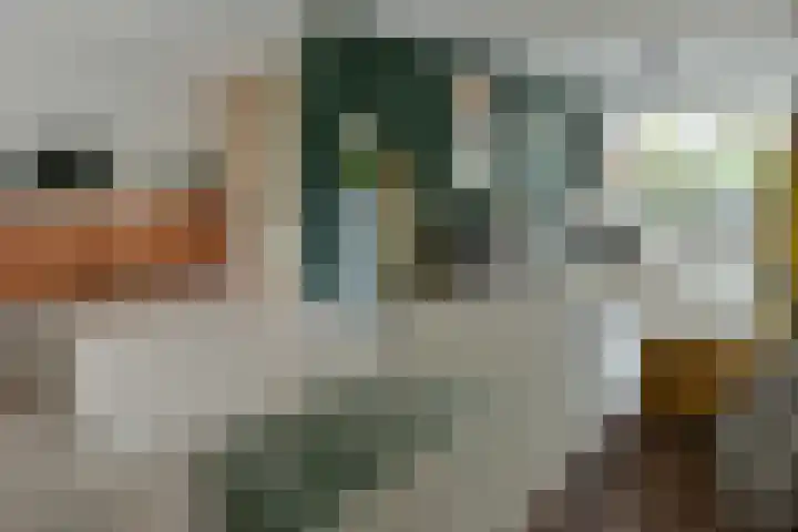Gouden Reaal 15 Mijdrecht thumbnail 12