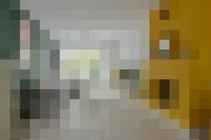 Gouden Reaal 15 Mijdrecht thumbnail 8