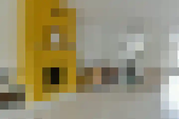 Gouden Reaal 15 Mijdrecht thumbnail 9