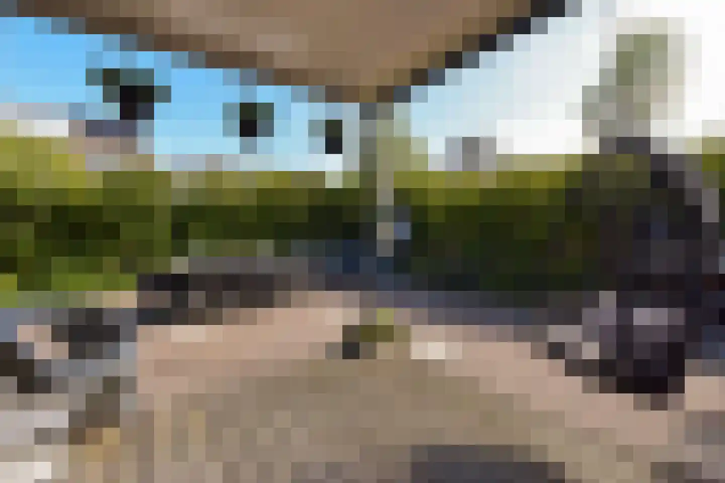 Gouden Reaal 16 Mijdrecht thumbnail 17