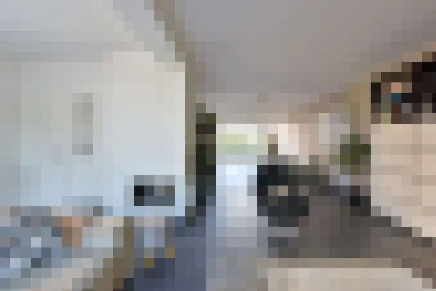 Gouden Reaal 16 Mijdrecht thumbnail 5