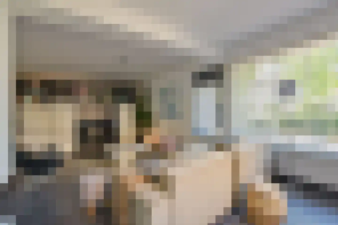 Gouden Reaal 16 Mijdrecht thumbnail 6