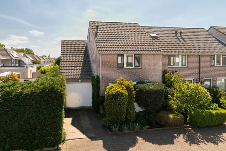 Gouden Regen 1 in Prinsenbeek Foto