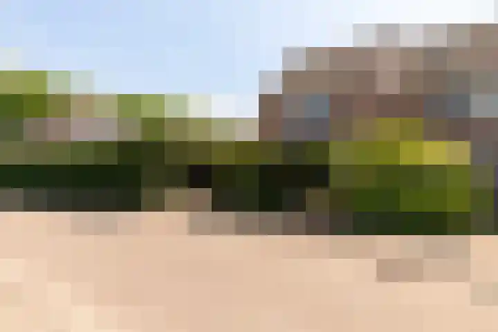 Gouden Regen 1 Prinsenbeek thumbnail 38