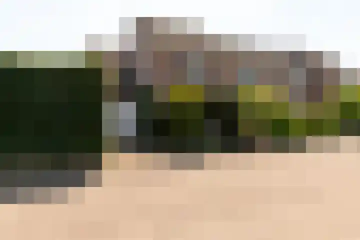 Gouden Regen 1 Prinsenbeek thumbnail 39