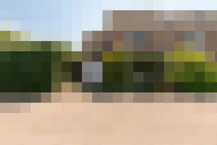 Gouden Regen 1 Prinsenbeek thumbnail 5