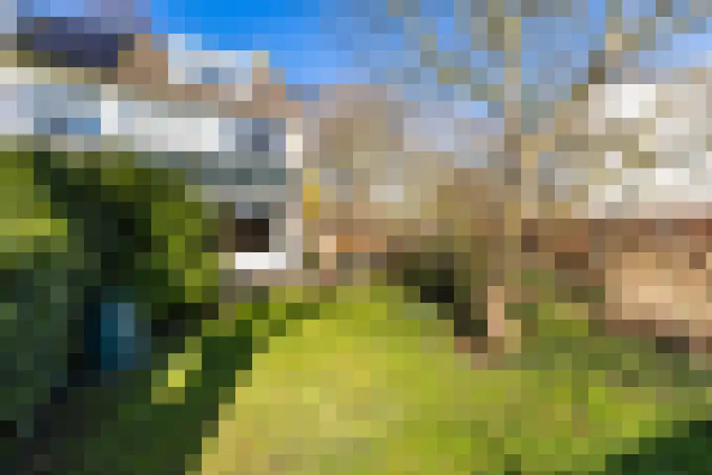 Gouden Regen 17 Krimpen aan den IJssel thumbnail 10