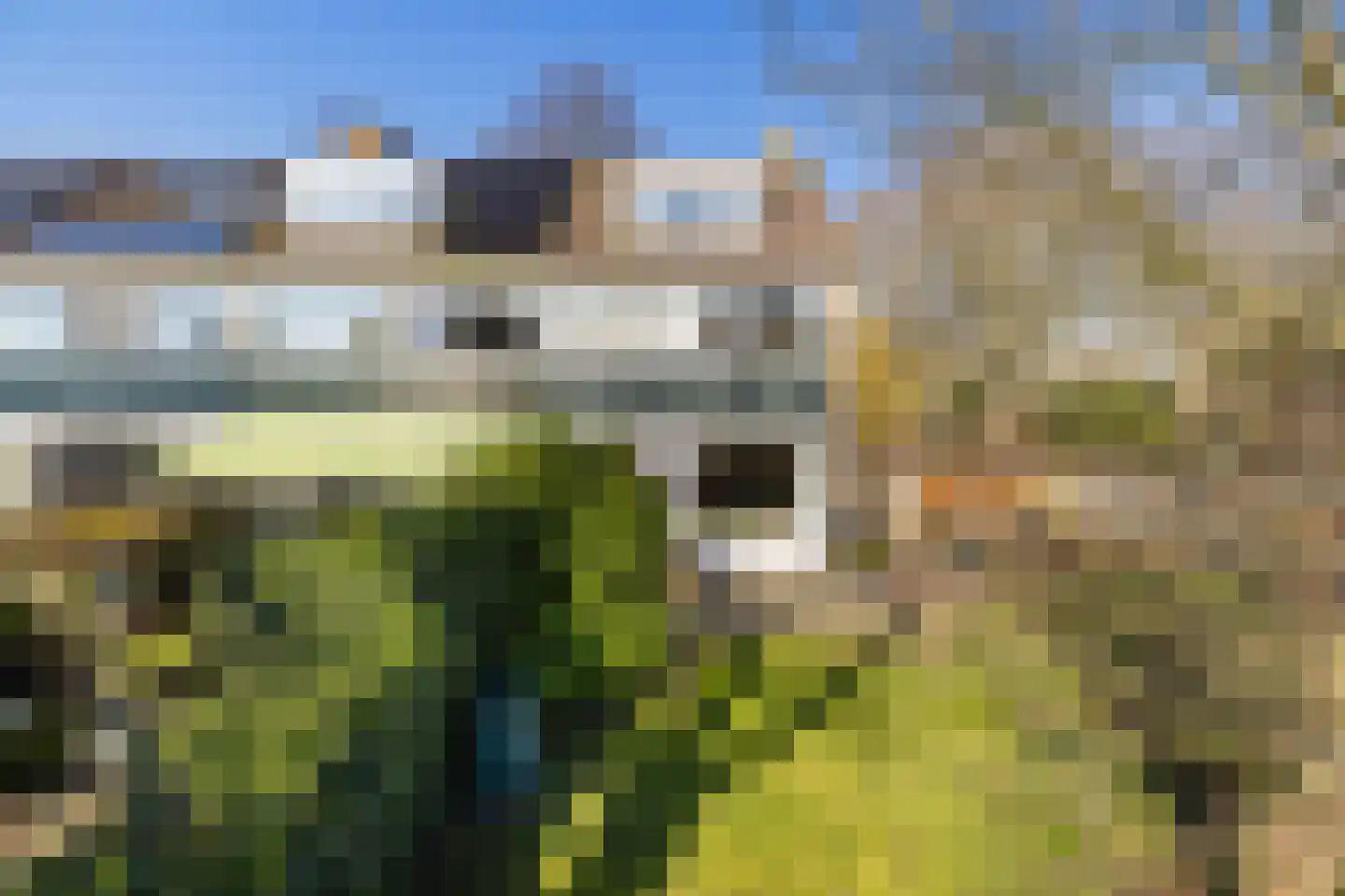 Gouden Regen 17 Krimpen aan den IJssel thumbnail 11