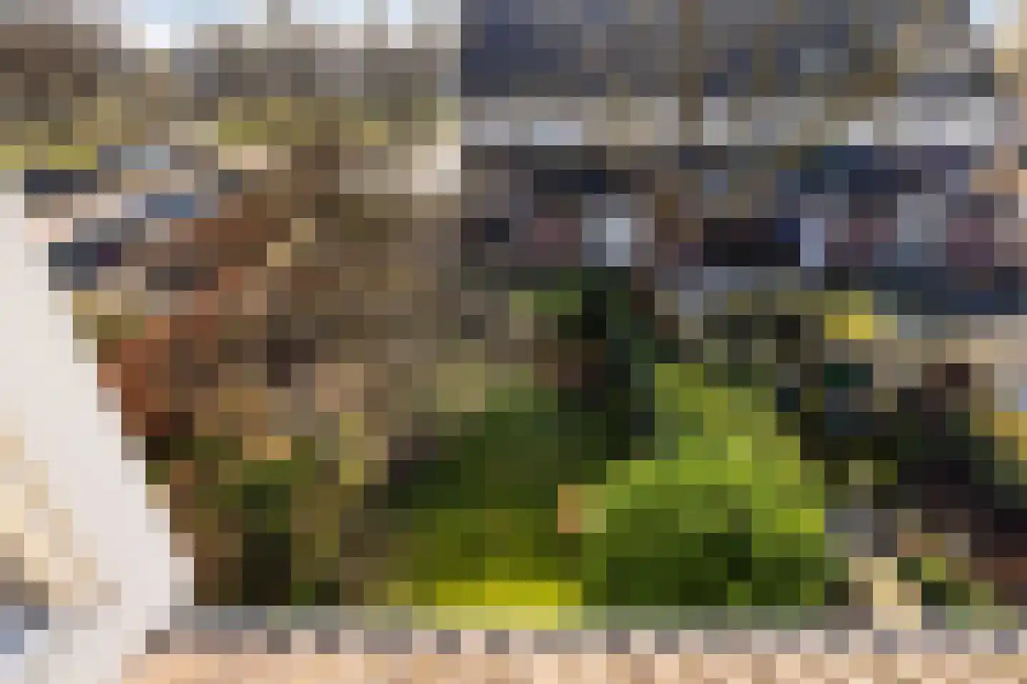 Gouden Regen 17 Krimpen aan den IJssel thumbnail 33