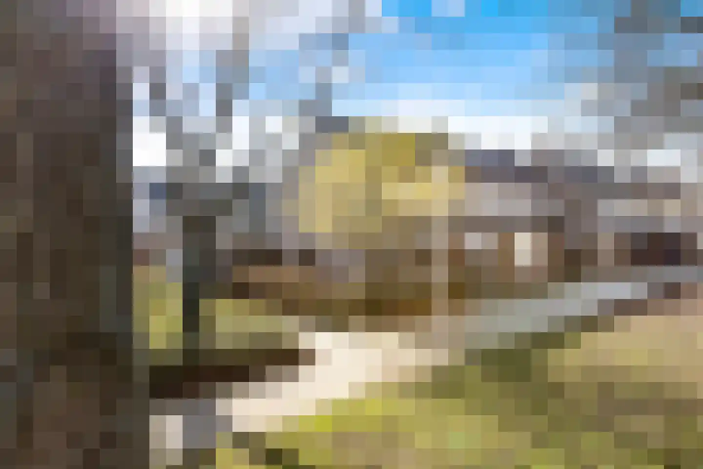 Gouden Regen 17 Krimpen aan den IJssel thumbnail 42