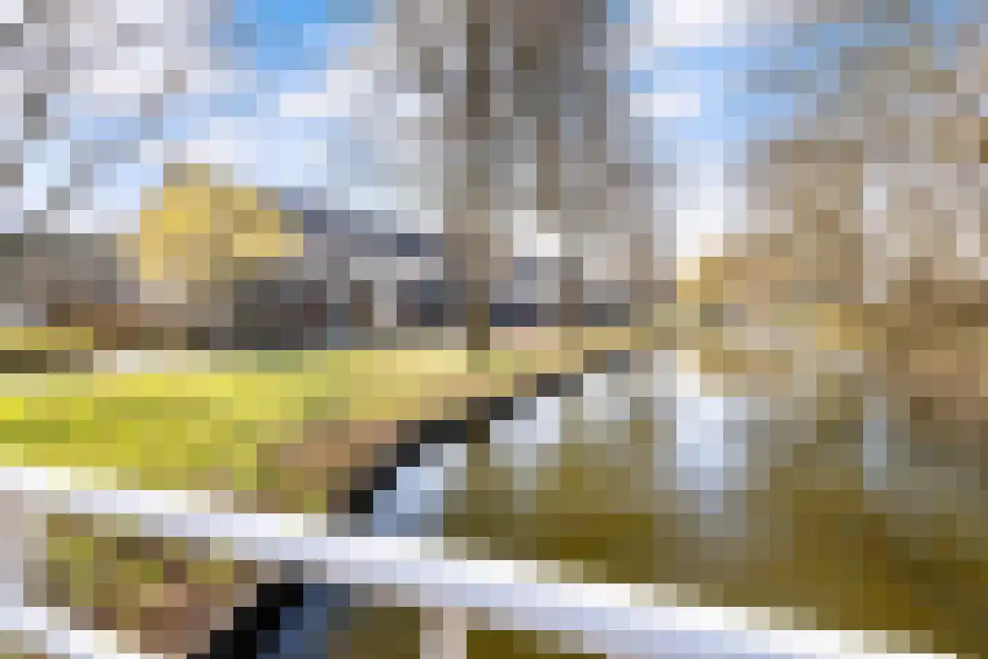 Gouden Regen 17 Krimpen aan den IJssel thumbnail 43