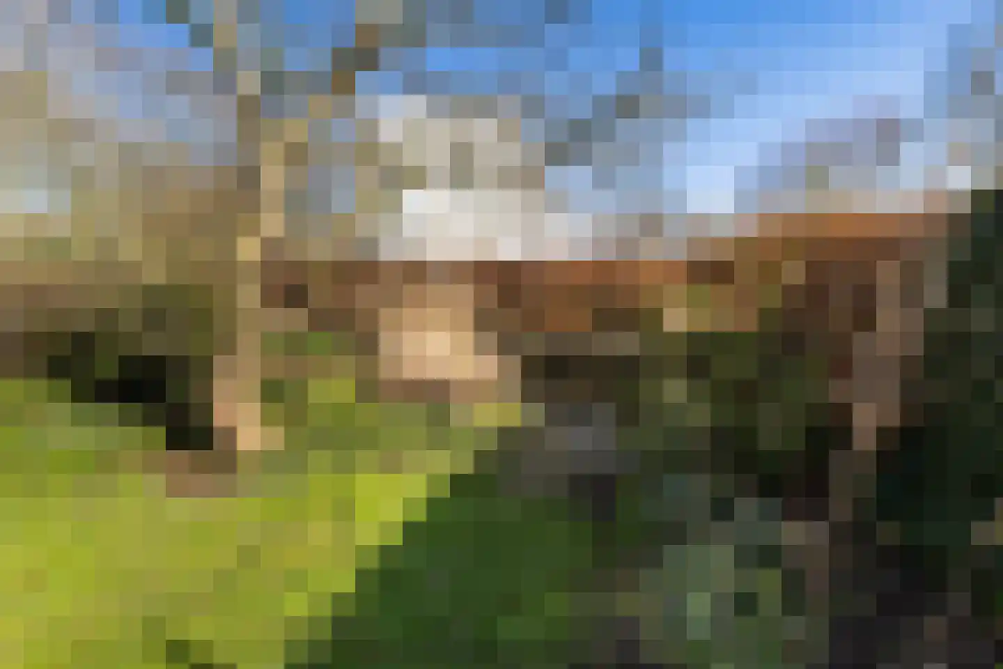 Gouden Regen 17 Krimpen aan den IJssel thumbnail 8