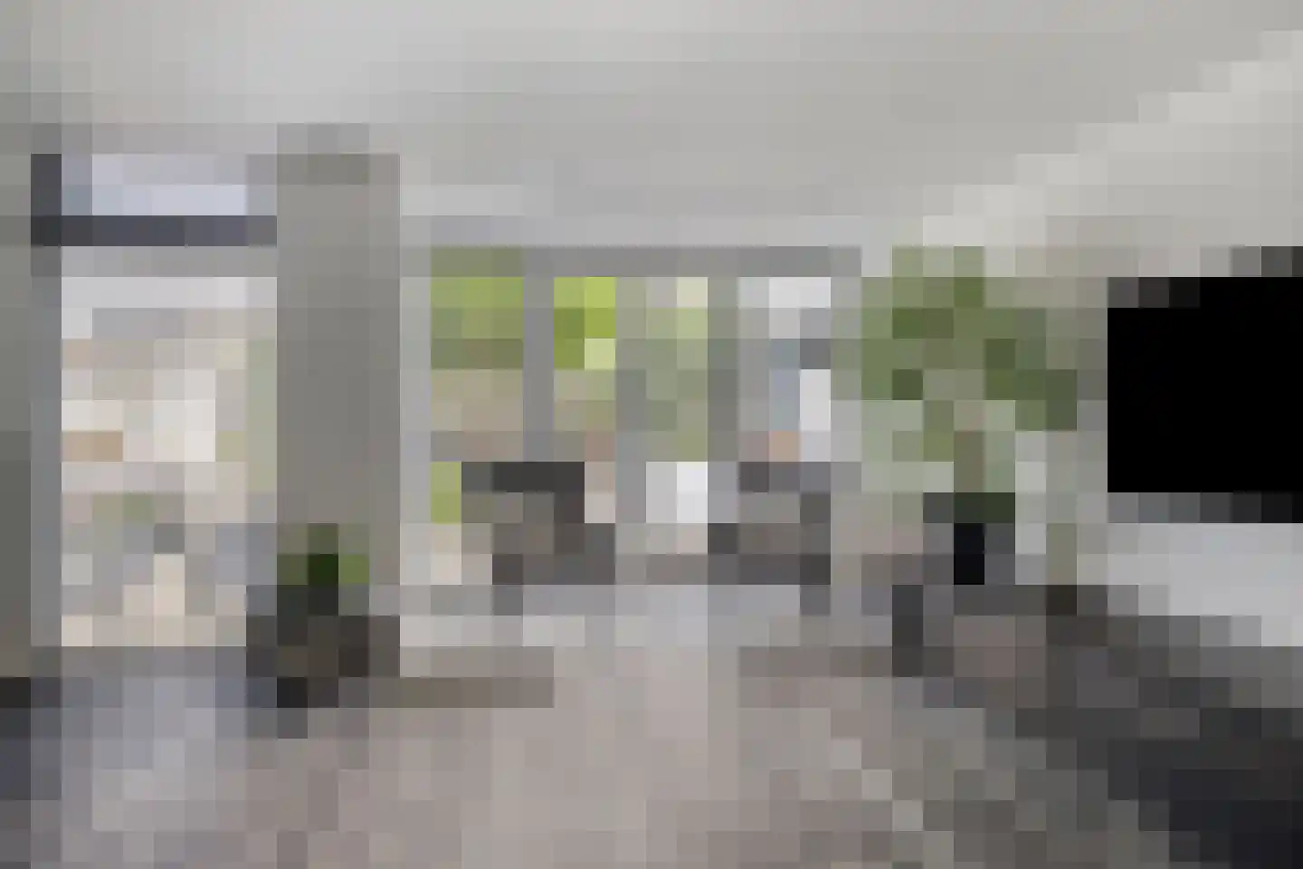 Gouden Regen 2 Prinsenbeek thumbnail 11