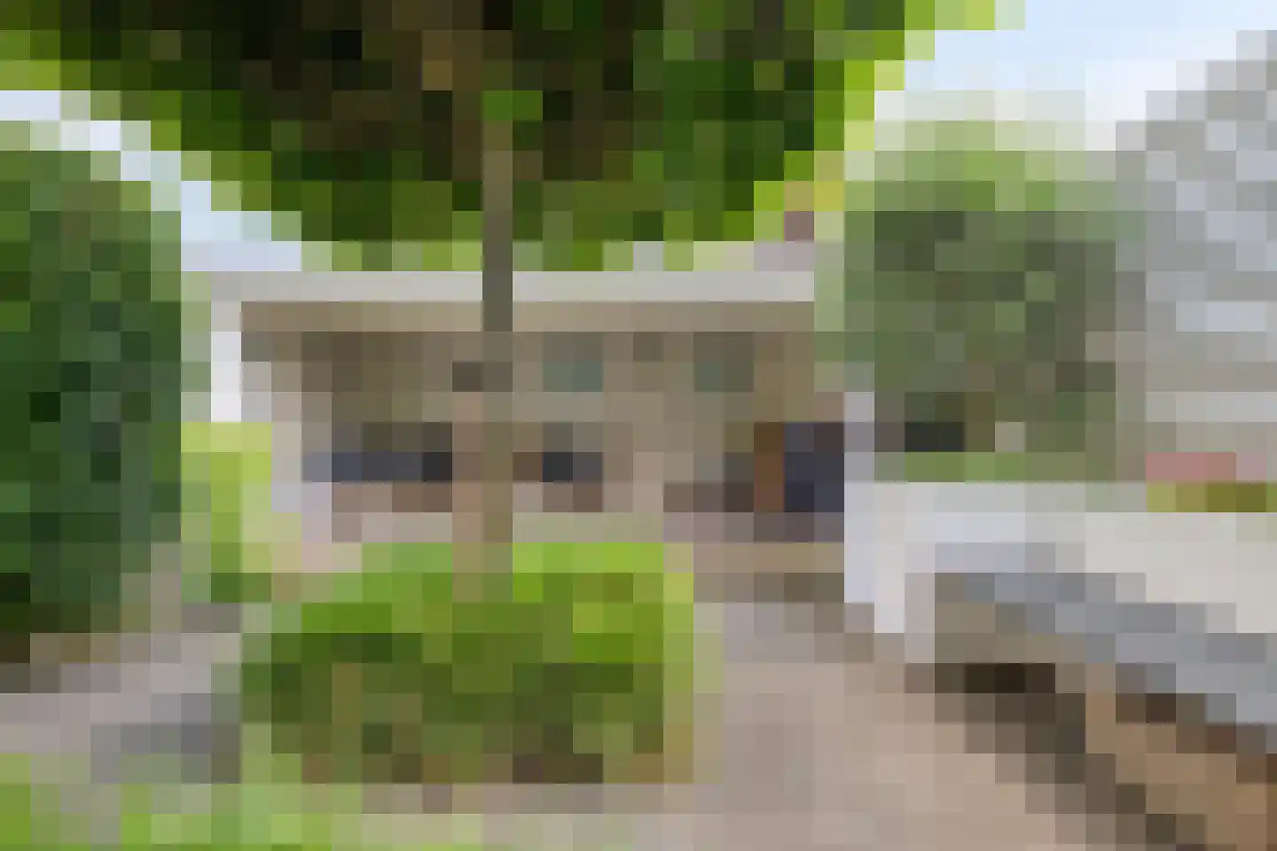 Gouden Regen 2 Prinsenbeek thumbnail 29
