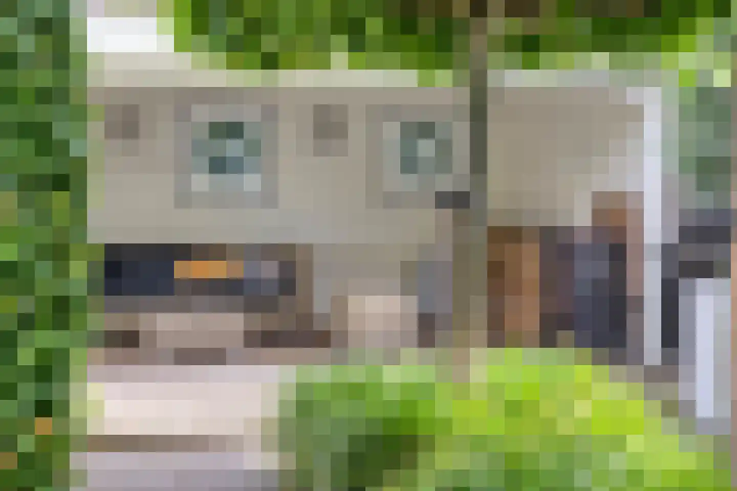 Gouden Regen 2 Prinsenbeek thumbnail 31