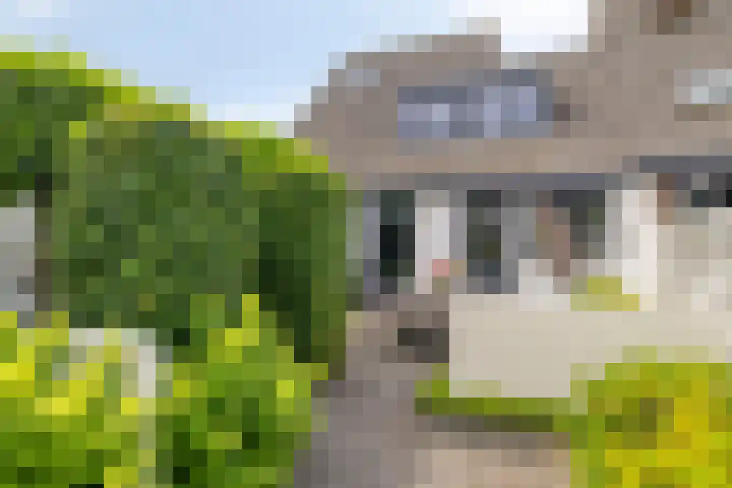 Gouden Regen 2 Prinsenbeek thumbnail 34
