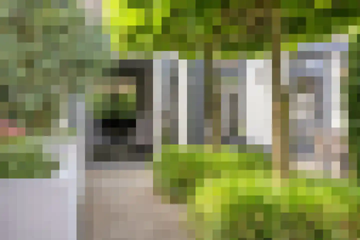Gouden Regen 2 Prinsenbeek thumbnail 35