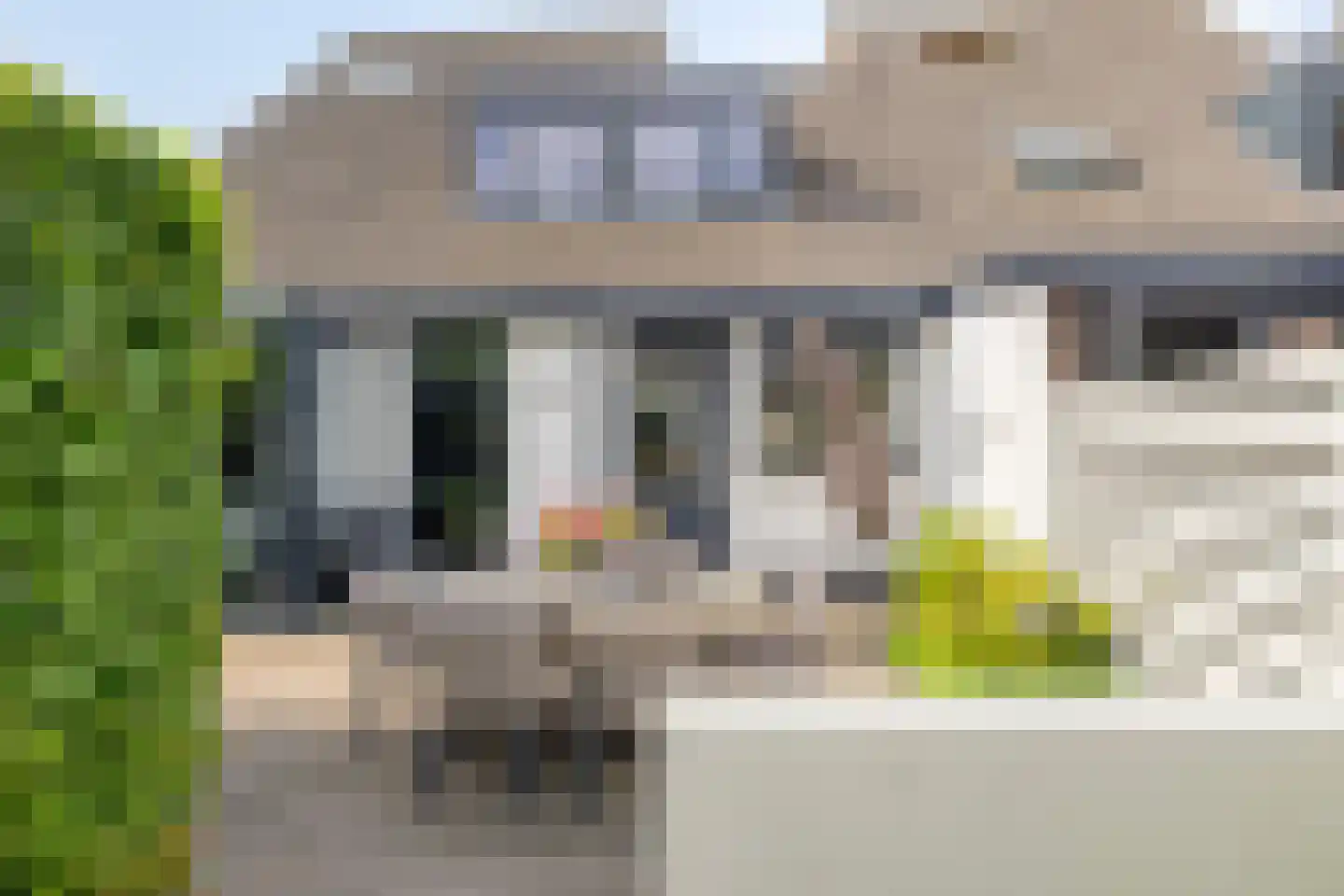 Gouden Regen 2 Prinsenbeek thumbnail 36