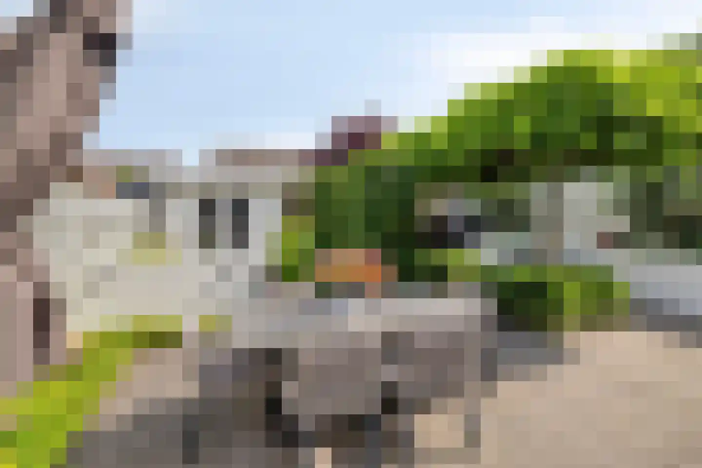 Gouden Regen 2 Prinsenbeek thumbnail 4