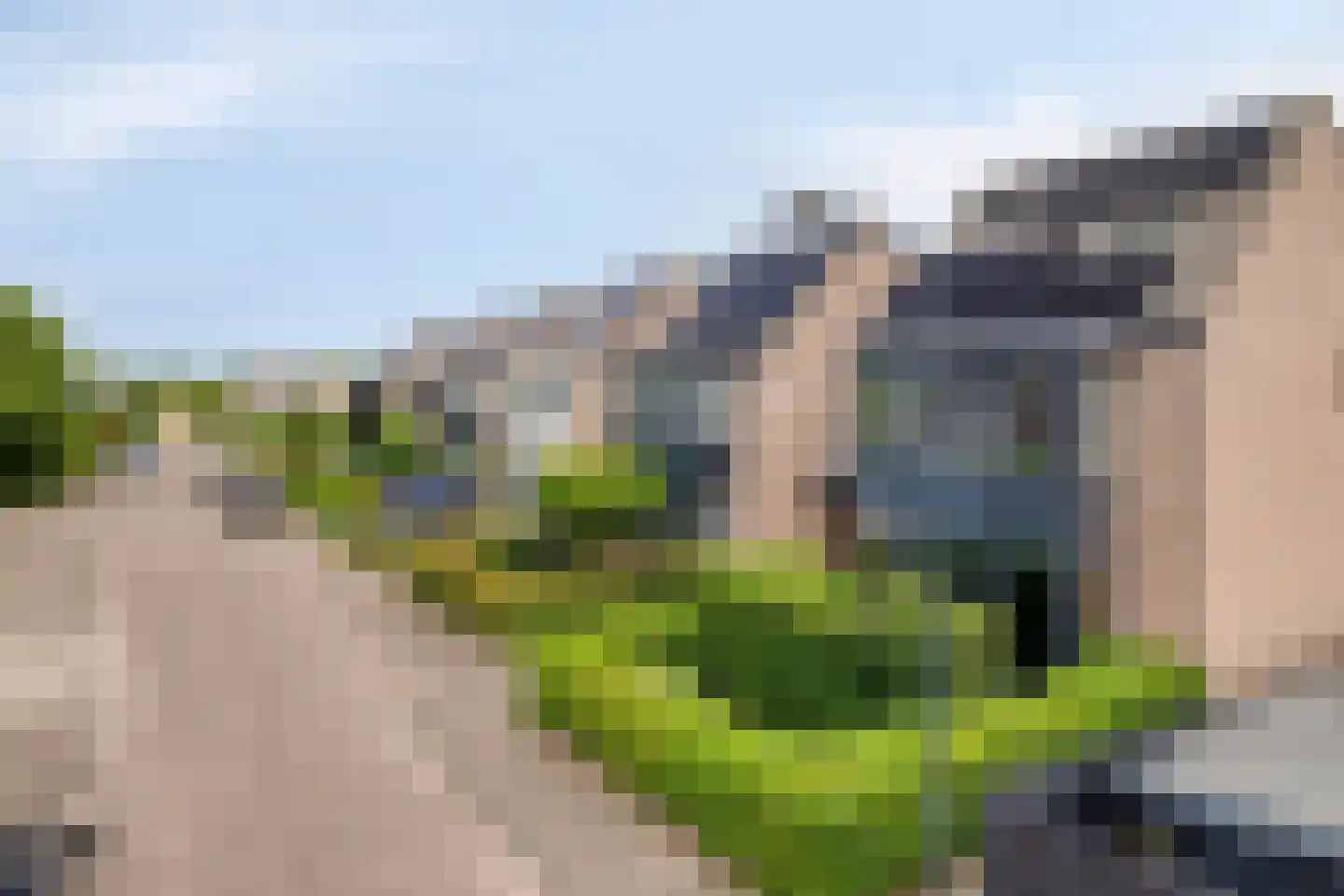 Gouden Regen 2 Prinsenbeek thumbnail 40