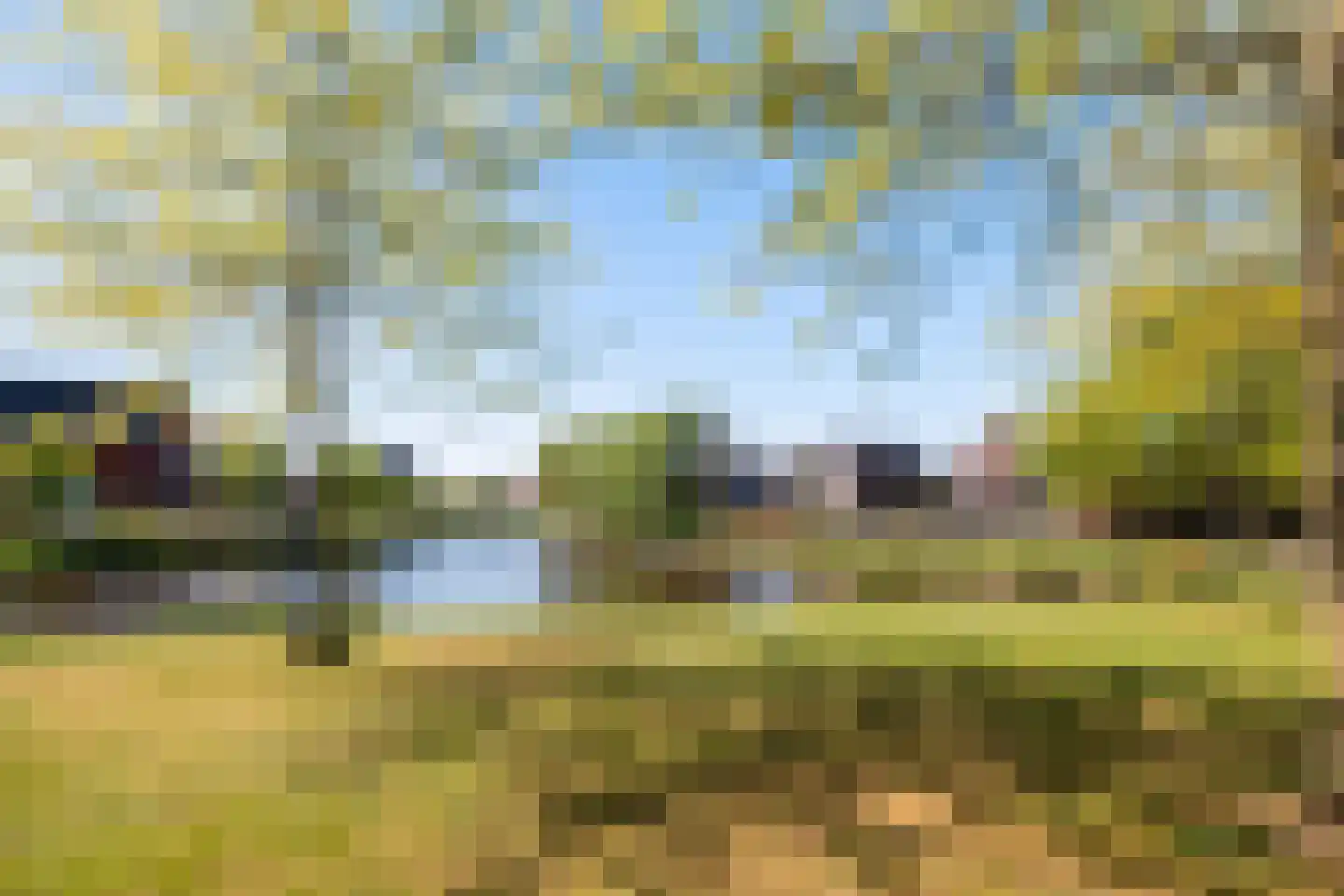 Gouden Regen 31 Woudenberg thumbnail 53