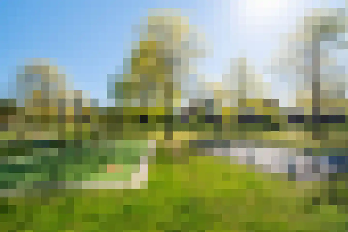 Gouden Regen 31 Woudenberg thumbnail 55