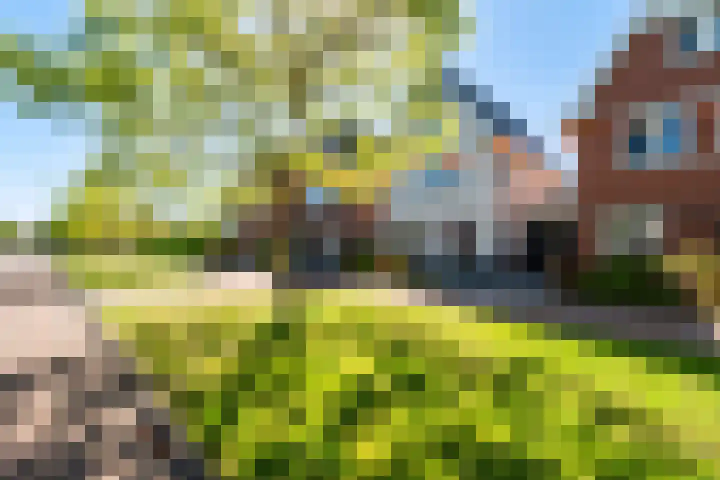 Gouden Regen 31 Woudenberg thumbnail 7