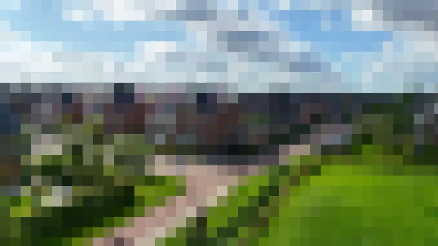 Gouden Regen 50 Woudenberg thumbnail 46