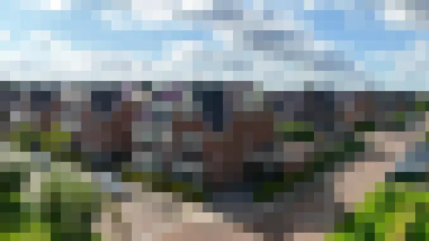 Gouden Regen 50 Woudenberg thumbnail 47