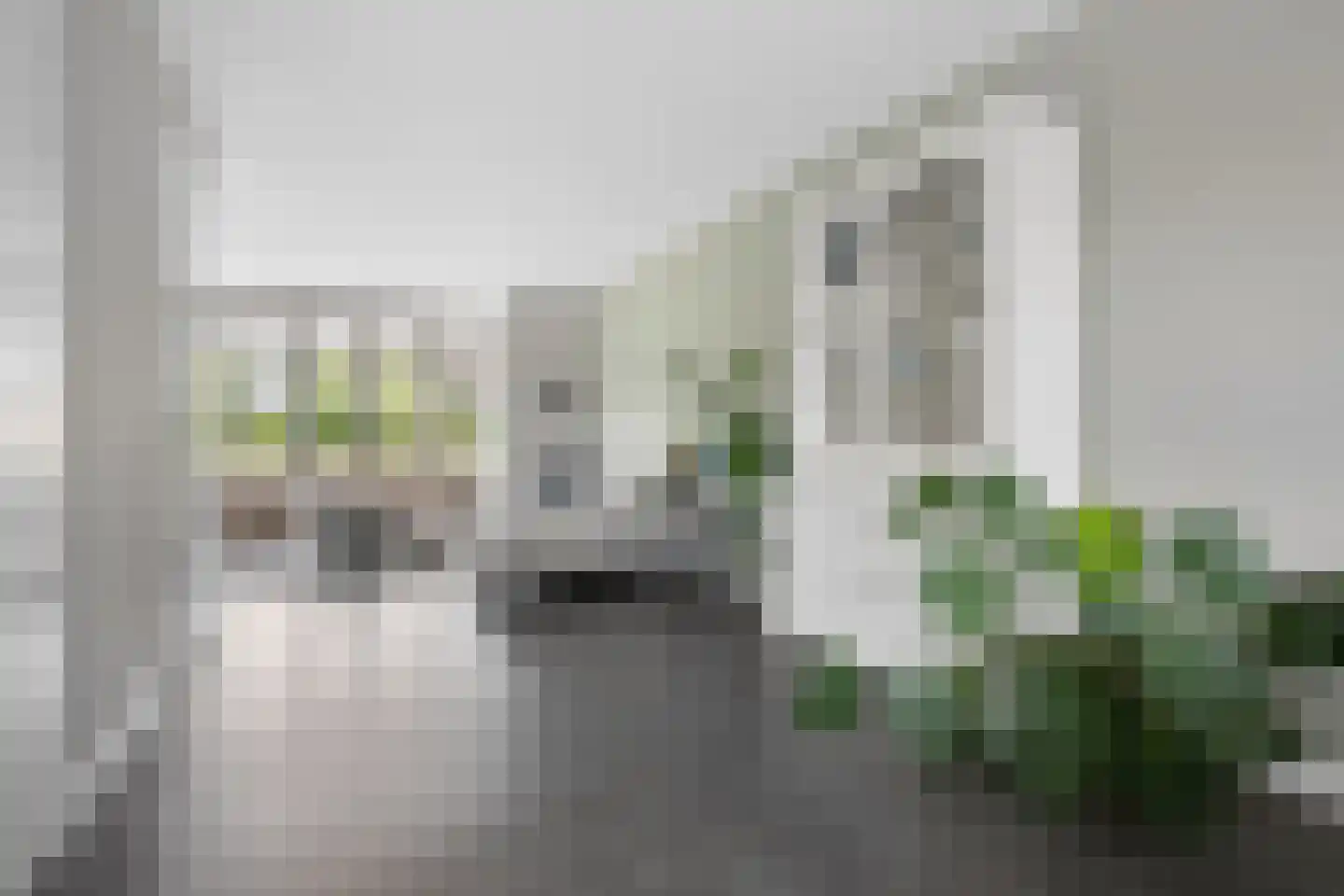 Gouden Regen 50 Woudenberg thumbnail 8