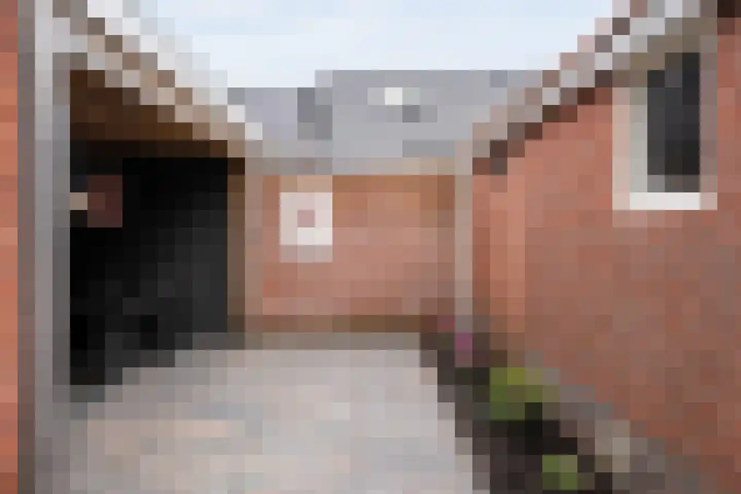 Gouden Regenstraat 10 Lutten thumbnail 35
